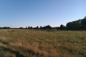 югок (6)