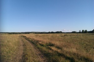 югок (7)